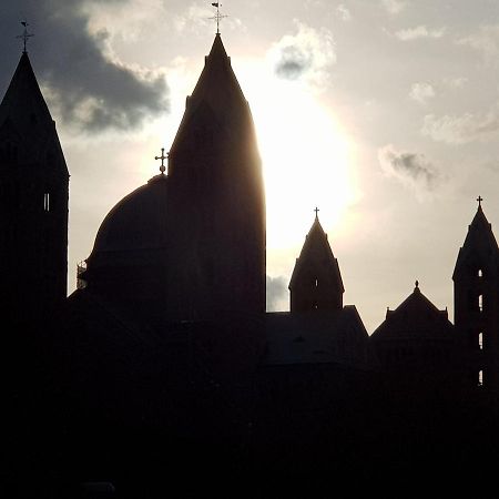Wohnen Direkt Am Rhein, Zentrums- Und Domnah, 55Qm Appartement Speyer Buitenkant foto