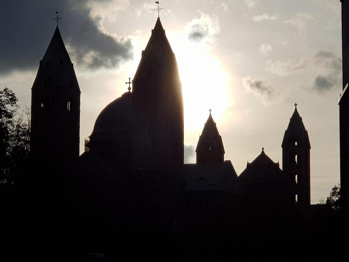 Wohnen Direkt Am Rhein, Zentrums- Und Domnah, 55Qm Appartement Speyer Buitenkant foto