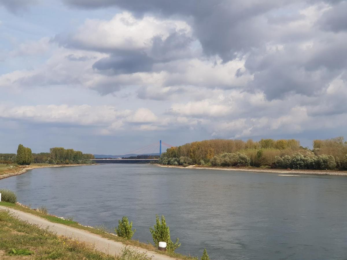 Wohnen Direkt Am Rhein, Zentrums- Und Domnah, 55Qm Appartement Speyer Buitenkant foto